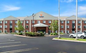 Comfort Suites Detroit Mi